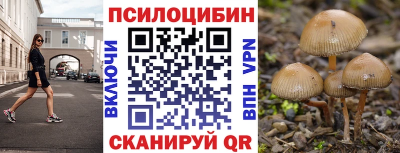 Псилоцибиновые грибы Psilocybe продажа наркотиков Алупка